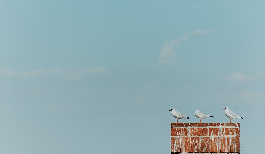 «Электронную путевку» упростят к лету