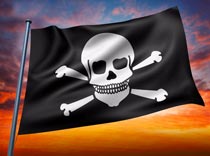 «Авиапирата» приняли в Пулково