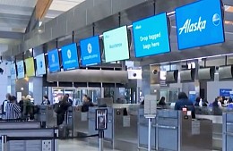 Четвероногого пассажира забыли посадить на рейс, а затем потеряли его на аэродроме