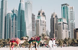 Туристка обманом попыталась получить двойную компенсацию за тур, не состоявшийся из-за СВО