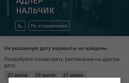 Туристы два дня не могут купить билеты из-за сбоев РЖД