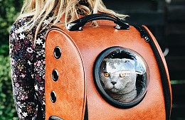 Туристы просят улучшить сервис в аэропортах для четырехлапых путешественников