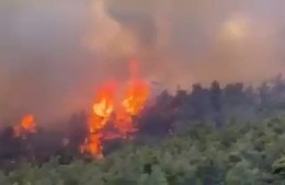 На Эгейском побережье Турции борются с лесными пожарами