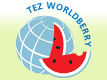 Лучшим – мировые арбузы