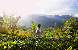 Авиабилеты в Таиланд и на Шри-Ланку на 23 Февраля сравнялись по цене с турами