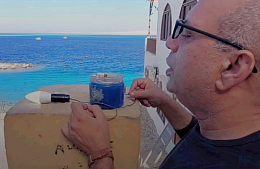 В Хургаде защитить туристов от акул предлагают новым изобретением