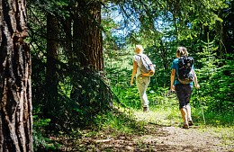 В России примут закон, чтобы туристы на отдыхе не вредили природе 