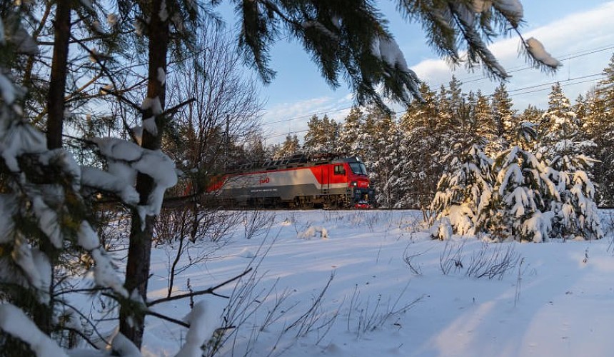 Туристы рассказали о проблемах в новогодних поездах РЖД