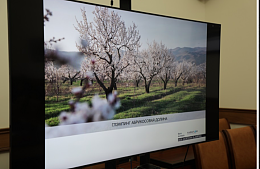 На месте консервного завода в Дагестане хотят построить глэмпинг за миллиард
