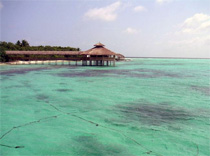 Россиянам на Мальдивах не рады?