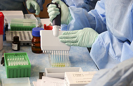 У пассажиров рейса Ереван – Волгоград принудительно взяли тесты на ковид