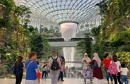 Сингапур возобновил бесплатные туры для транзитных пассажиров