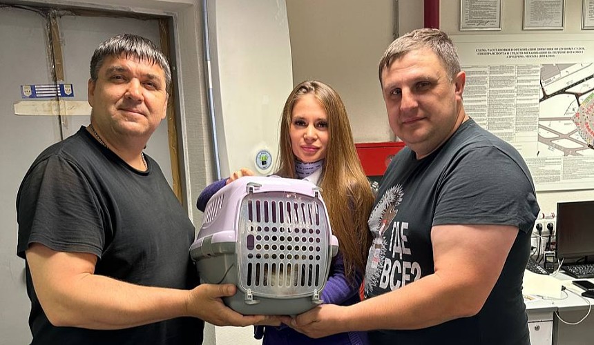 После недели поисков во Внуково нашли кота, который не захотел улетать в Якутск