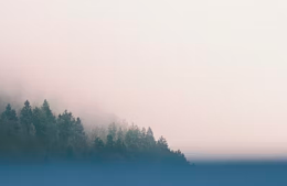 Самолеты из Москвы и Питера посадили в Челябинске вместо Кольцово