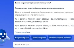 Туристам вновь выдают биометрические загранпаспорта после паузы из-за нехватки чипов