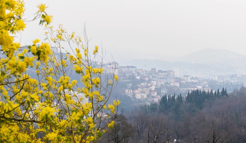 По ночам мороз: на Черноморское побережье России вернулась зима