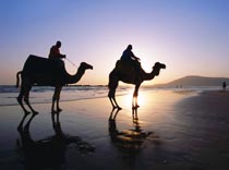 Турагенту на заметку