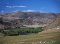 Осталось обучить алтайцев