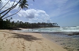 Туры из Москвы на Шри-Ланку предлагаются дешевле авиабилетов