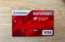 Турист рассказал, как получил карту Visa в Турции