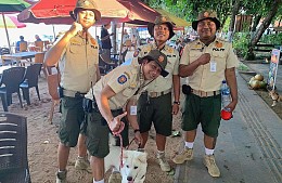 На Бали уплату туристического налога проверят патрули с собаками