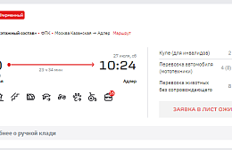 У РЖД появились очереди в поезда с распроданными билетами