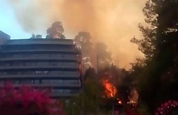 Лесной пожар в Мармарисе перекинулся на отель