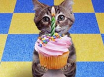 В «Холидей М» круглая дата