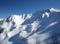 Плюс четыре пушки