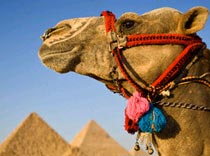 Турагенту на заметку