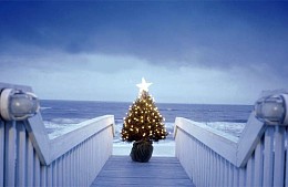 Слетать в Турцию на Новый год пока можно не дороже, чем сейчас