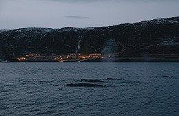 Ради мечты или рекламы: Ляйсан Утяшева и Павел Воля восхитились китами в Териберке