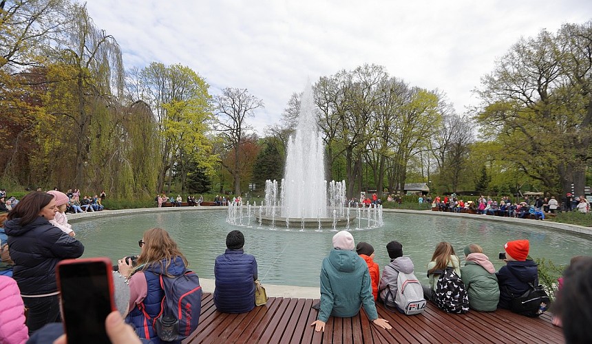 Туристов зовут отметить юбилей Канта и день рождения зеленоградского кота