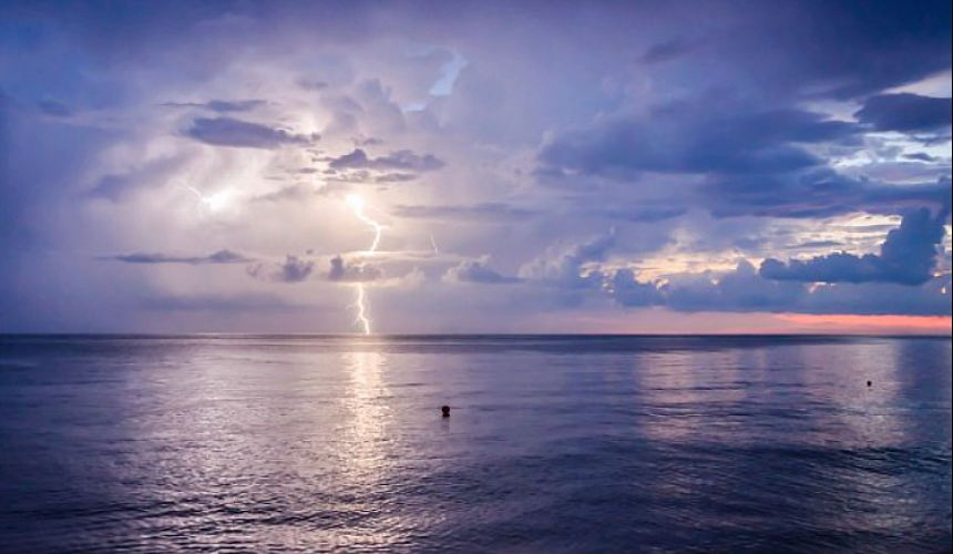 В Сочи +12 и дождь: туристов развлекают как могут