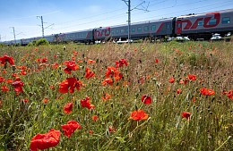 РЖД увеличила глубину продажи билетов на 20 с лишним поездов, в том числе на курортных направлениях