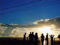 MICE для масс