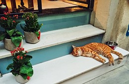 Дешевое размещение в Турции в 2020 году может быть недоступно для российских туристов