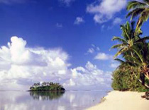 Новые Канары нового игрока