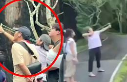 Туристам в Таиланде запретили ходить в зоопарк с рогатками