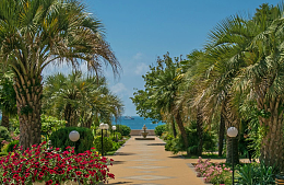 В некоторых отелях Сочи на июль уже нет свободных мест