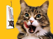 Ноябрь будет сладким