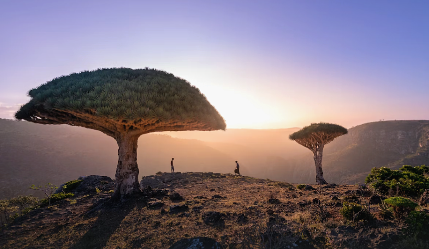 Российские туристы не отказываются от поездок в Йемен и Бахрейн