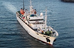 Морские рейсы в Японию оказались не нужны туристам на фоне дешевеющих авиабилетов