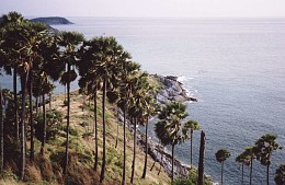 Спасатели на Пхукете пытаются найти россиянина, которого смыло со скал в море