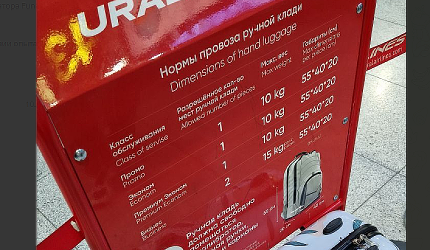 Представителя «Уральских авиалиний» в аэропорту Домодедово отстранили от работы