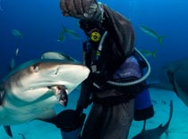 Дайвинг или демпинг?