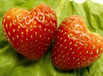 «Символы туризма» готовятся к фотосессии