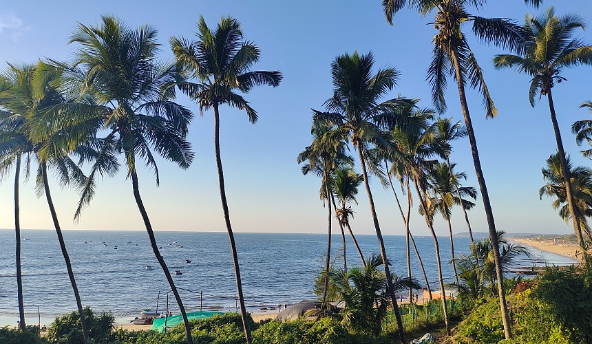 Власти Гоа всерьез задумались о безопасности туристов