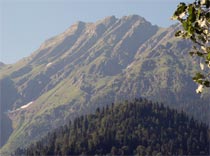 Эхо войны в Южной Осетии услышали в Абхазии и Сочи