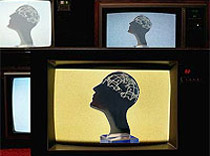 Шампанское – покупают, ленточки – нарезают